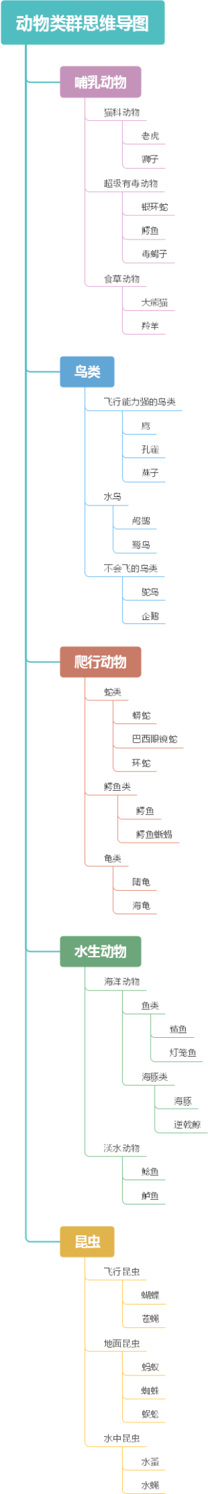 动物类群思维导图