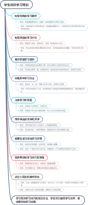 学生高效学习规划