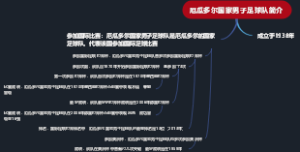 厄瓜多尔国家男子足球队简介