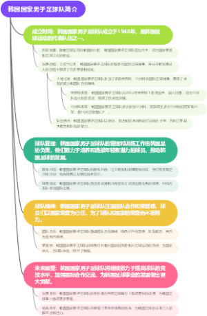 韩国国家男子足球队简介