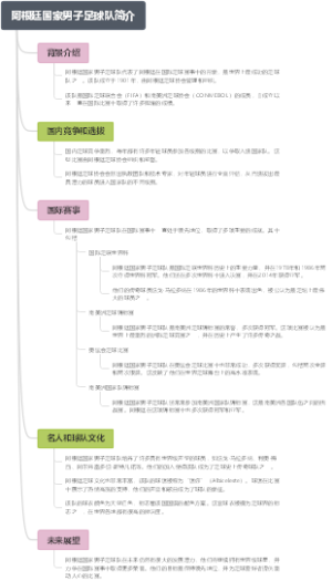 阿根廷国家男子足球队简介