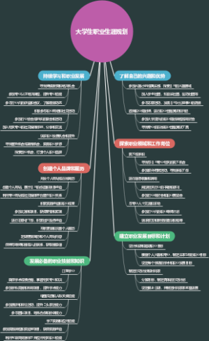 大学生职业生涯规划