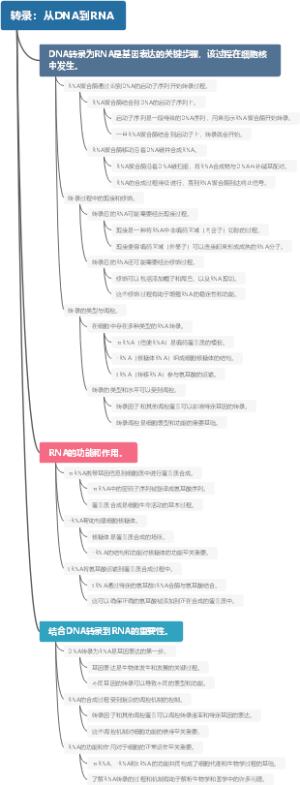 转录：从DNA到RNA