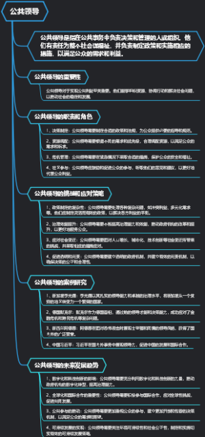 公共领导