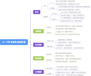 12-18岁生命轨迹鱼骨图