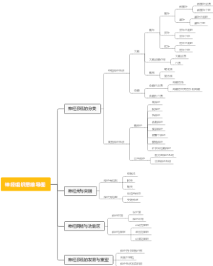 神经组织思维导图