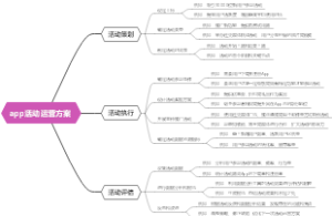 app活动运营方案