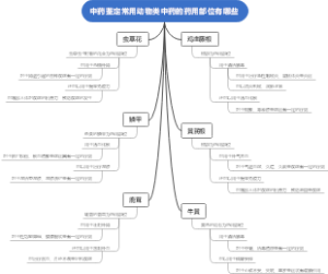 中药鉴定常用动物类中药的药用部位有哪些