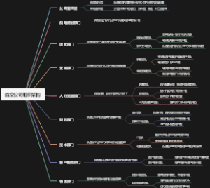 航空公司组织架构