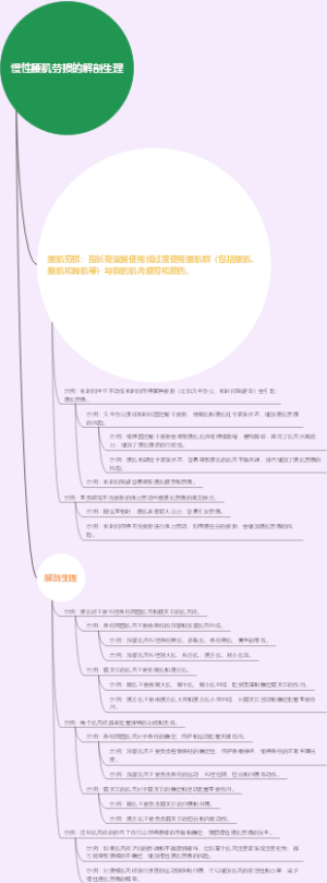 慢性腰肌劳损的解剖生理
