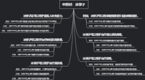 中药材：冰球子