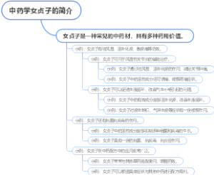 中药学女贞子的简介