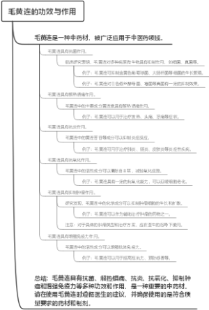 毛黄连的功效与作用