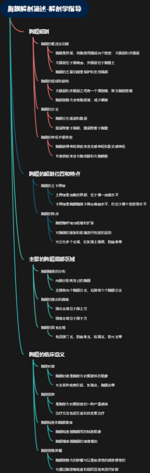 胸膜解剖简述-解剖学指导