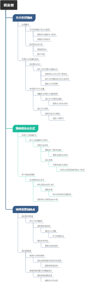 调羹树
