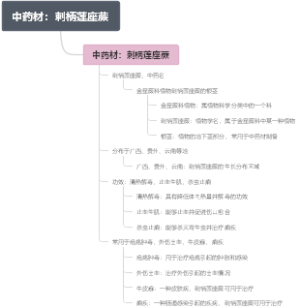 中药材：刺柄莲座蕨