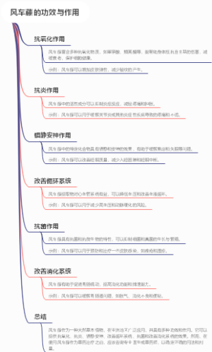 风车藤的功效与作用