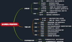 宝龙集团公司组织架构