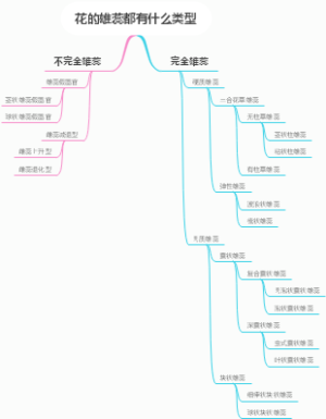 花的雄蕊都有什么类型