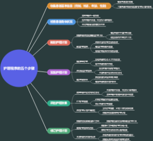 护理程序的五个步骤