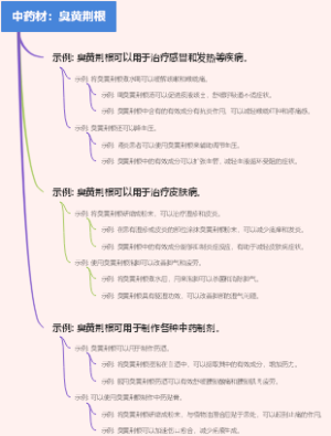 中药材：臭黄荆根
