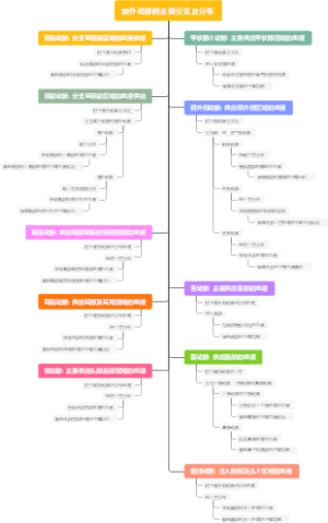 颈外动脉的主要分支及分布