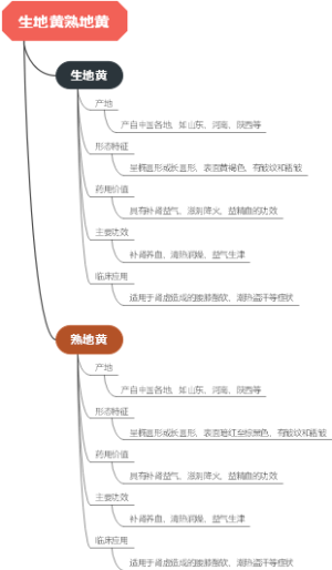 生地黄熟地黄