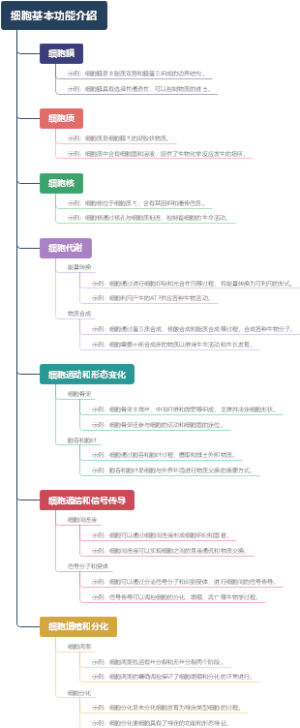 细胞基本功能介绍