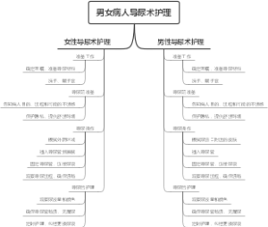男女病人导尿术护理