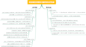 传出神经系统受体功能和其分子机制