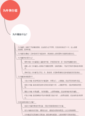九牛薯介绍