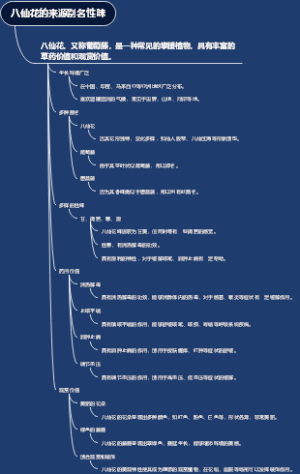 八仙花的来源别名性味