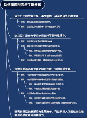 软丝藻原形态与生境分布