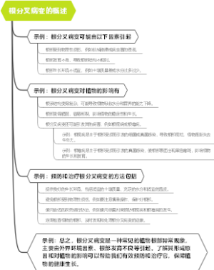 根分叉病变的概述