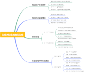 生殖男性生殖女性生殖