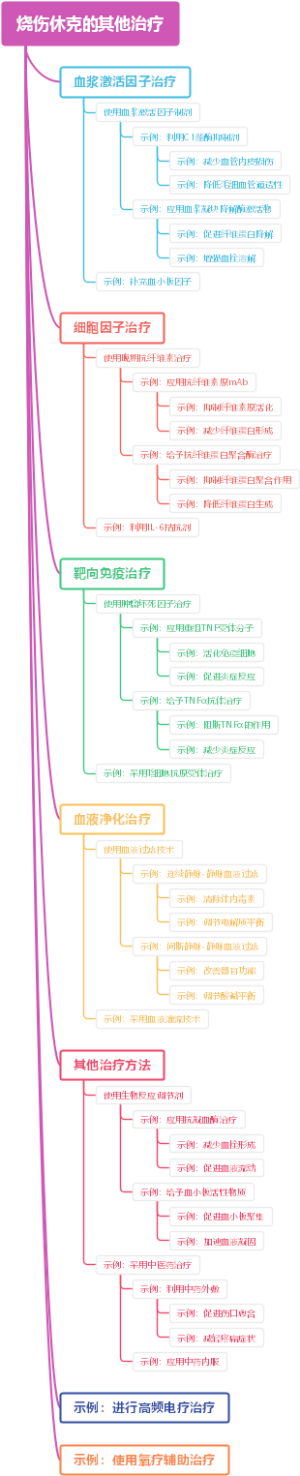 烧伤休克的其他治疗