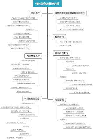 烧伤休克的其他治疗