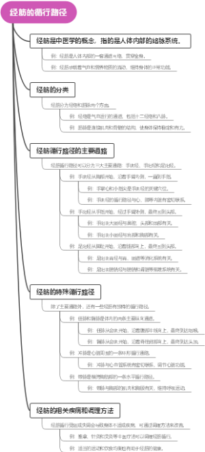 经筋的循行路径