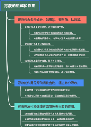 胃液的组成和作用