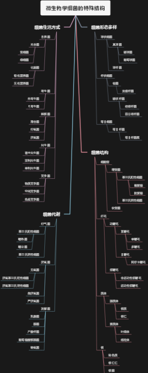 微生物学细菌的特殊结构