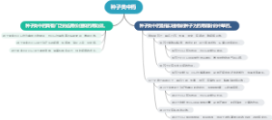 种子类中药