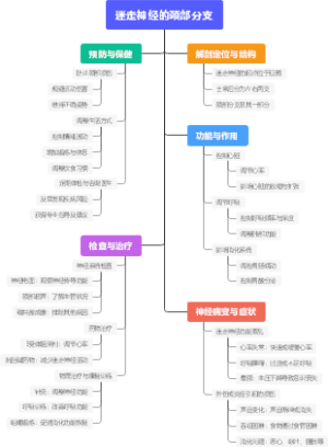 迷走神经的颈部分支