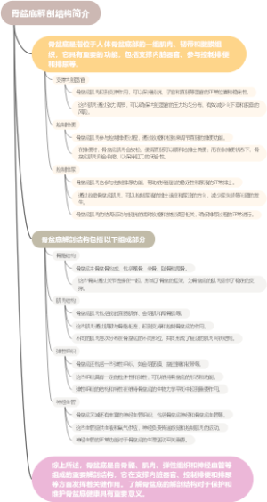 骨盆底解剖结构简介