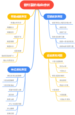 脊柱裂的临床症状