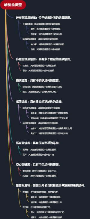 雄蕊的类型