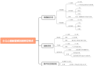 小儿心脏血管解剖的特征特点