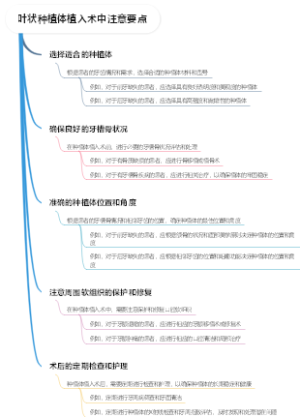 叶状种植体植入术中注意要点