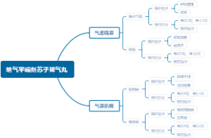 纳气平喘剂苏子降气丸