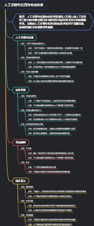 人工牙排列位置与咬合关系