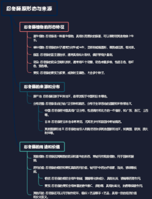 忍冬藤原形态与来源